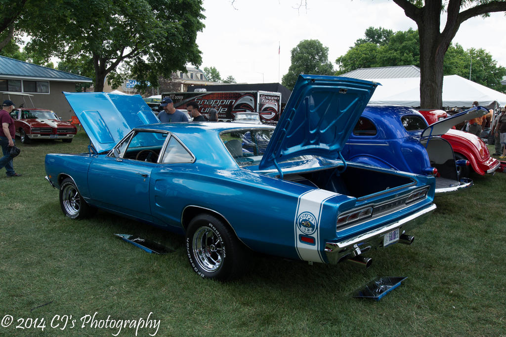DSC_0261.jpg