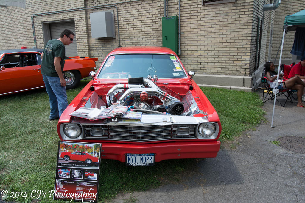 DSC_0262.jpg