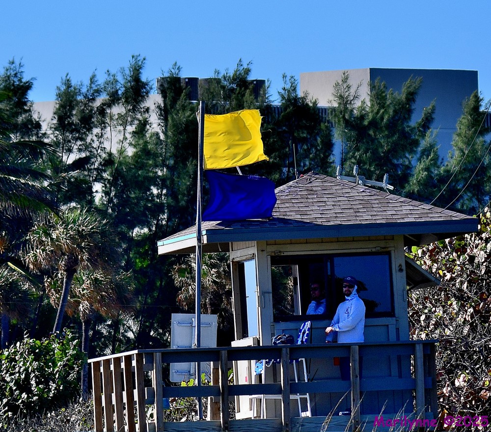 DSC_0264_001.JPG