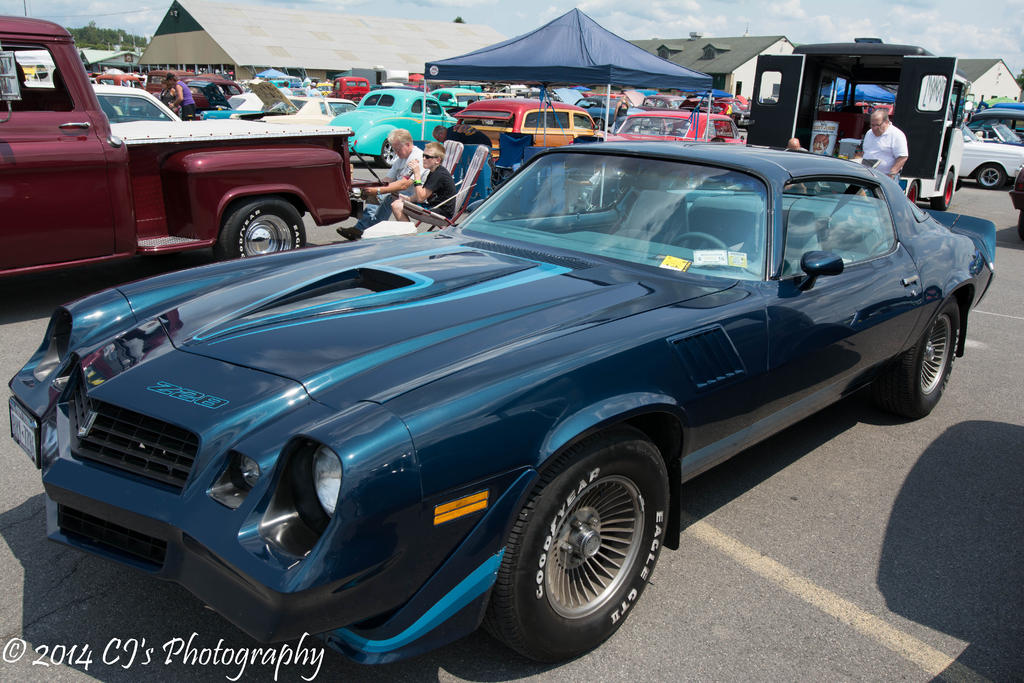 DSC_0266.jpg