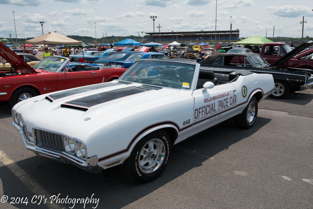 DSC_0267.jpg