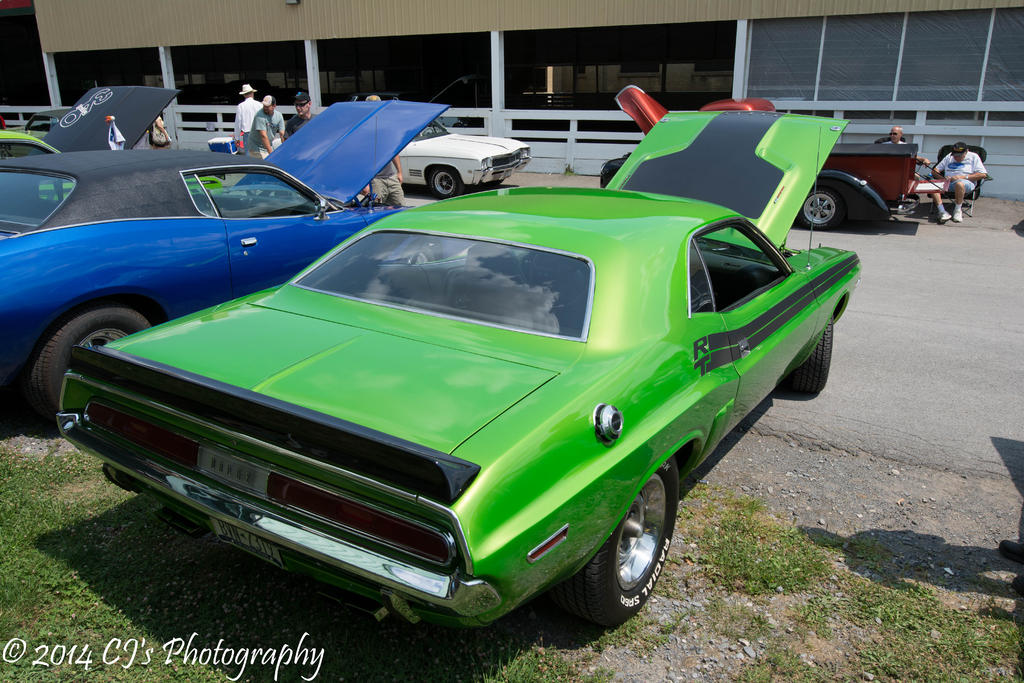 DSC_0269.jpg