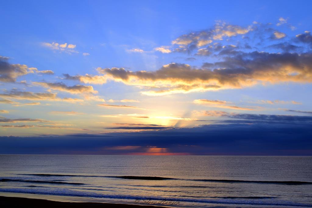 DSC_0269.jpg