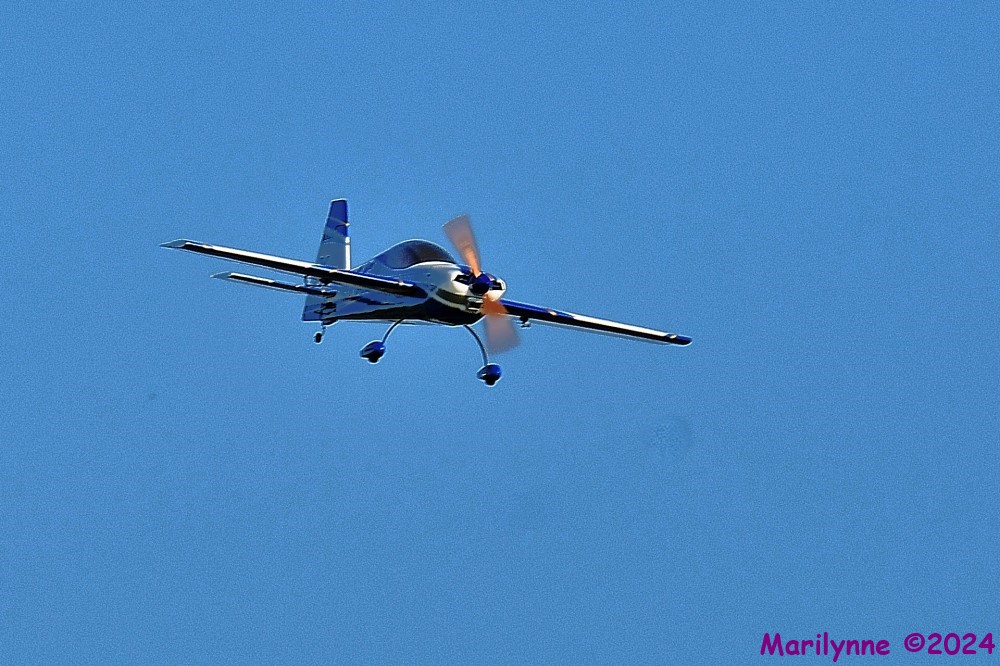 DSC_0269_001.JPG