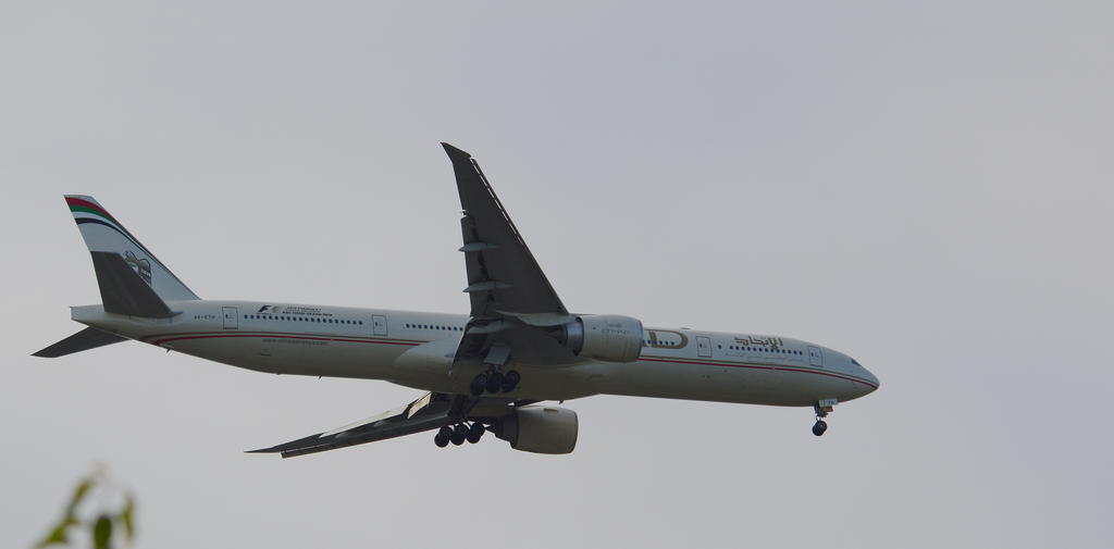 DSC_0273.jpg