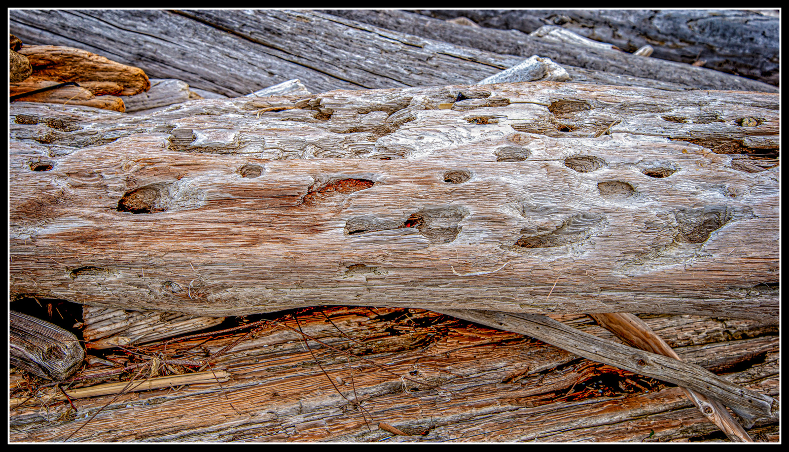 DSC_0274-Edit.jpg