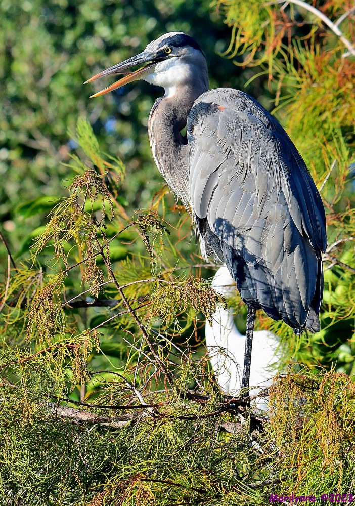 DSC_0275_001.JPG