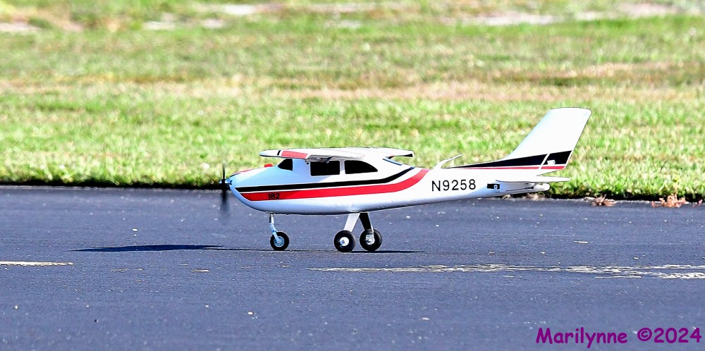 DSC_0278_001.JPG