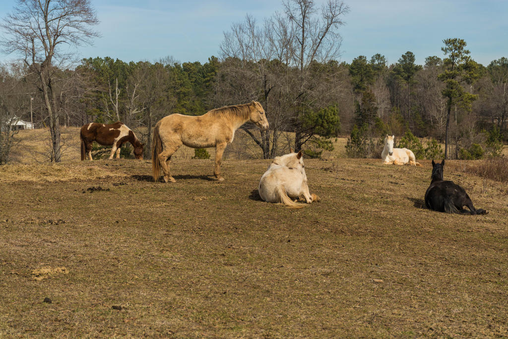 DSC_0280.jpg