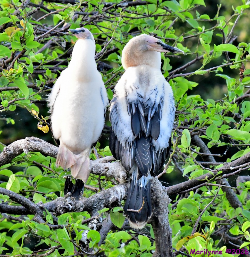 DSC_0281_001.JPG
