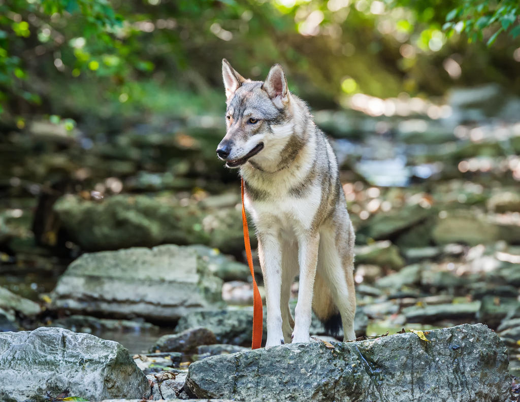 DSC_0282-Edit.jpg