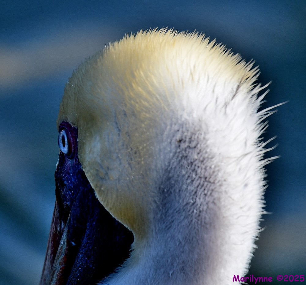 DSC_0283_001.JPG