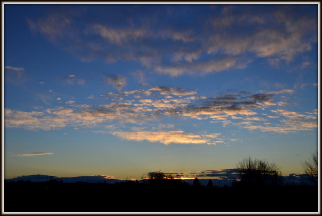 DSC_0285.jpg