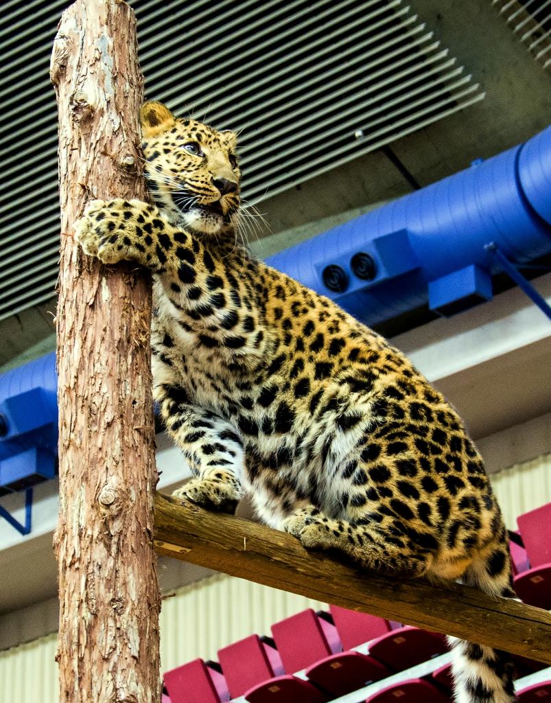 DSC_0286.jpg