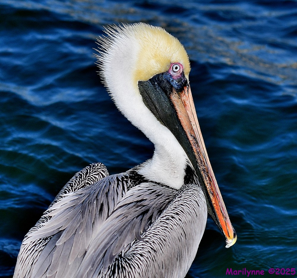 DSC_0286_001.JPG