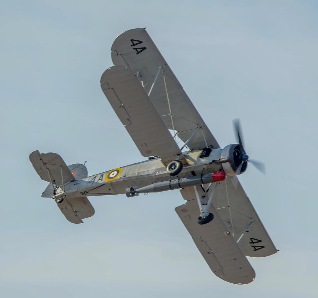 DSC_0287.jpg
