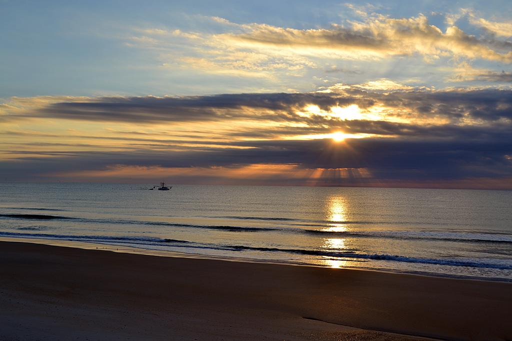 DSC_0288.jpg