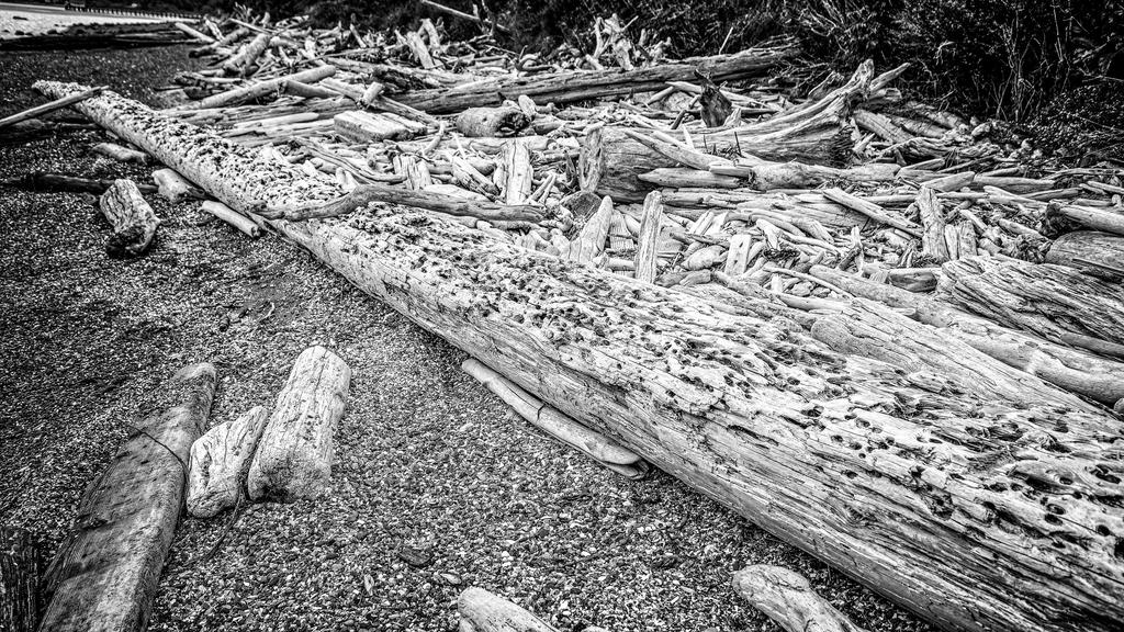 DSC_0289-Edit-2.jpg