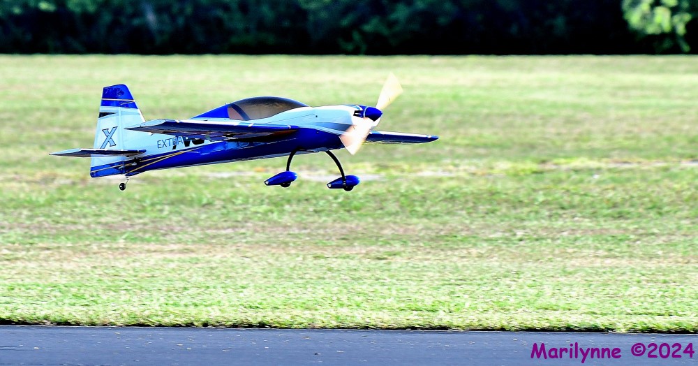 DSC_0290_001.JPG