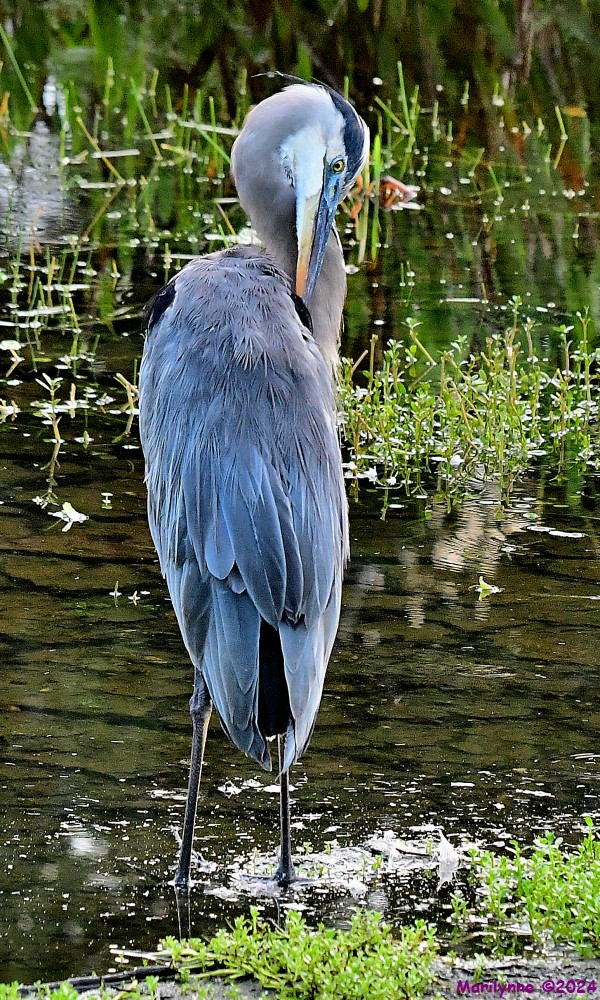 DSC_0291_001.JPG