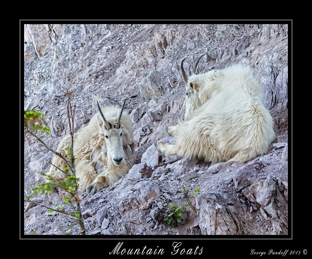 DSC_0291_Web.jpg