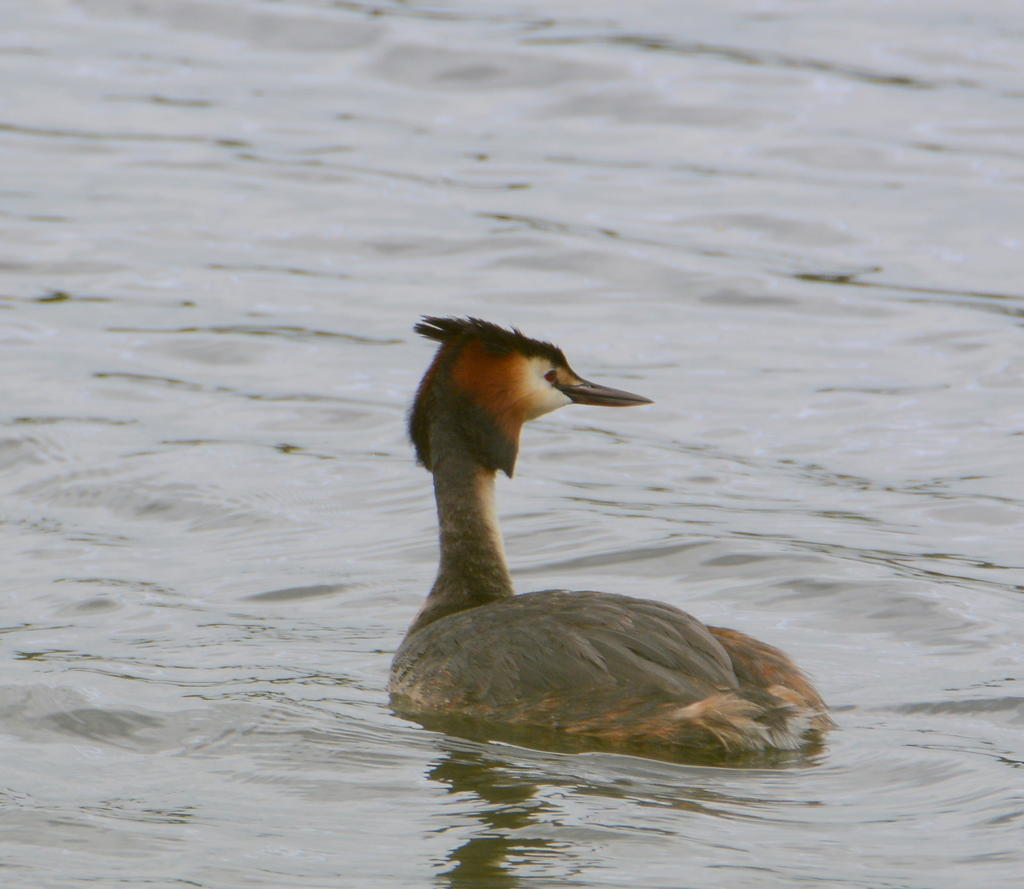 DSC_0295.jpg