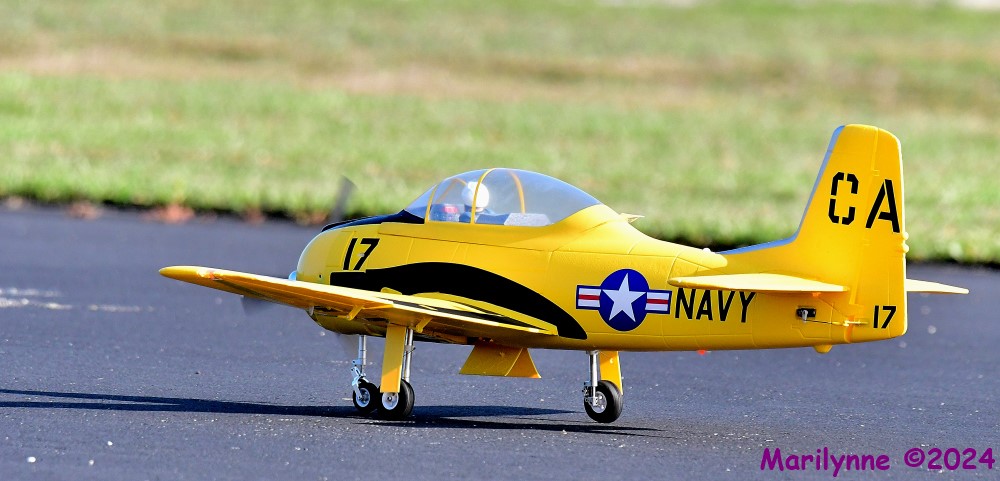 DSC_0296_stitch_001.JPG