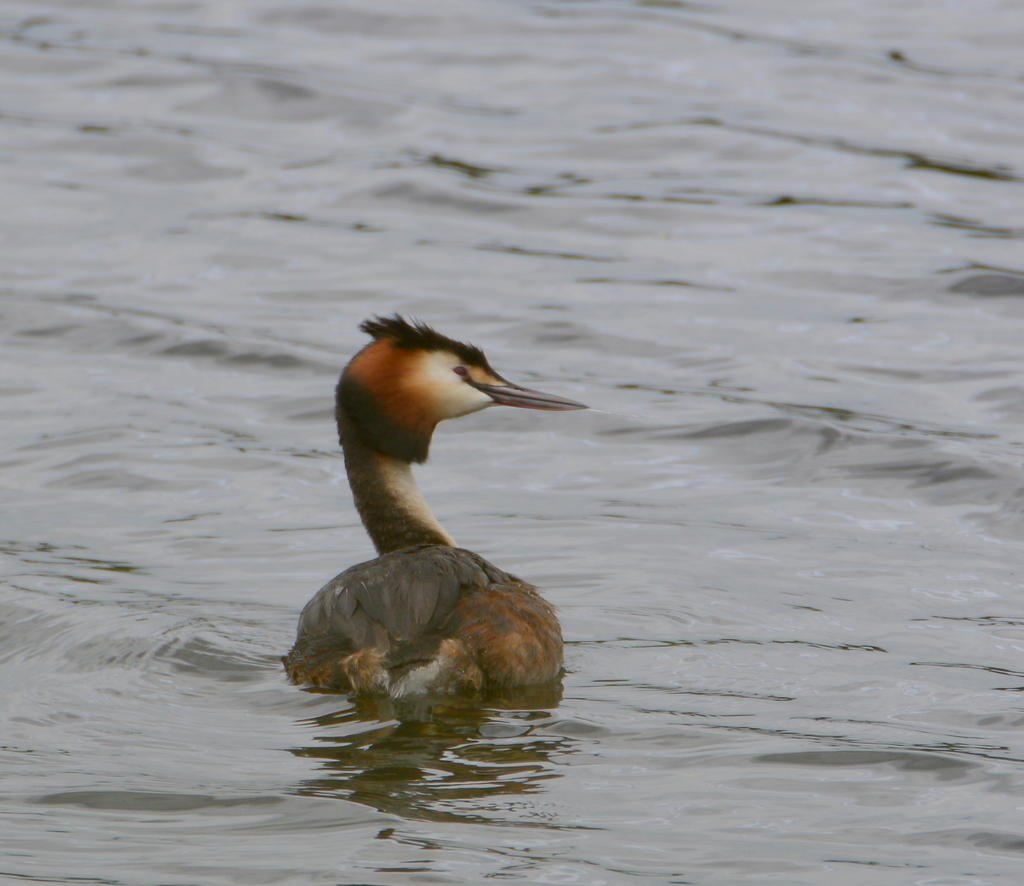 DSC_0297.jpg