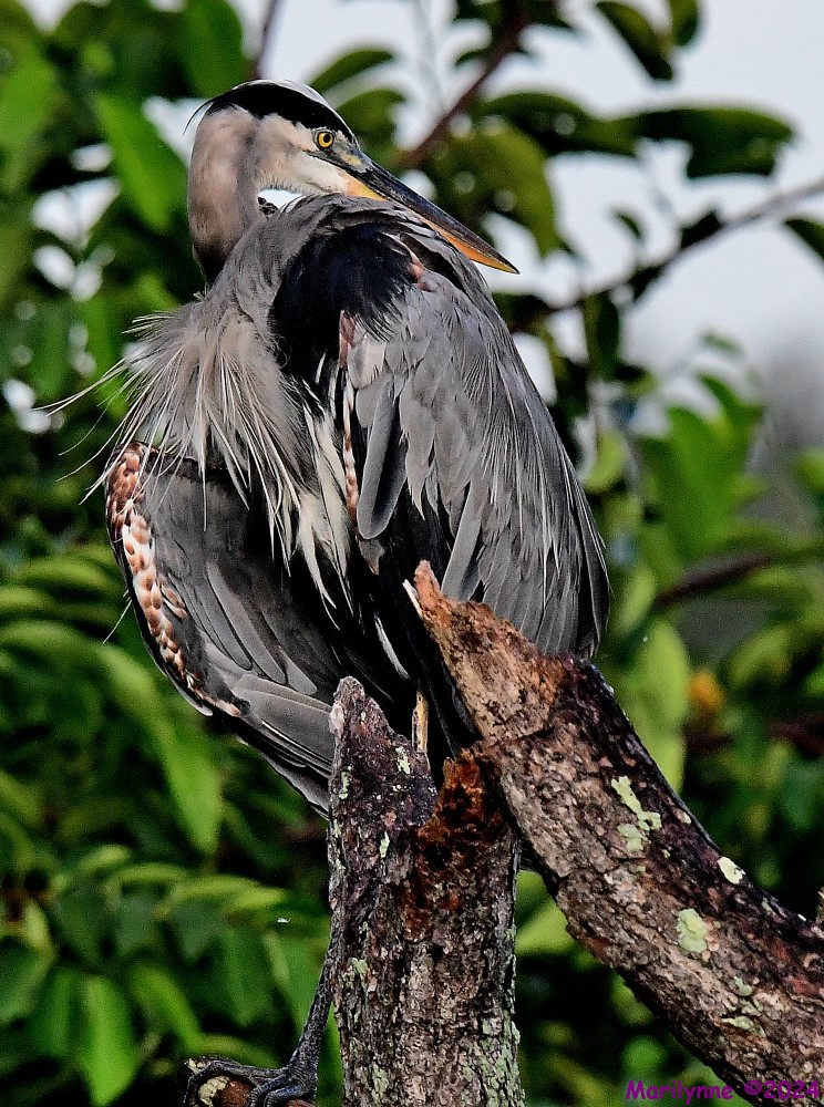 DSC_0297_001.JPG