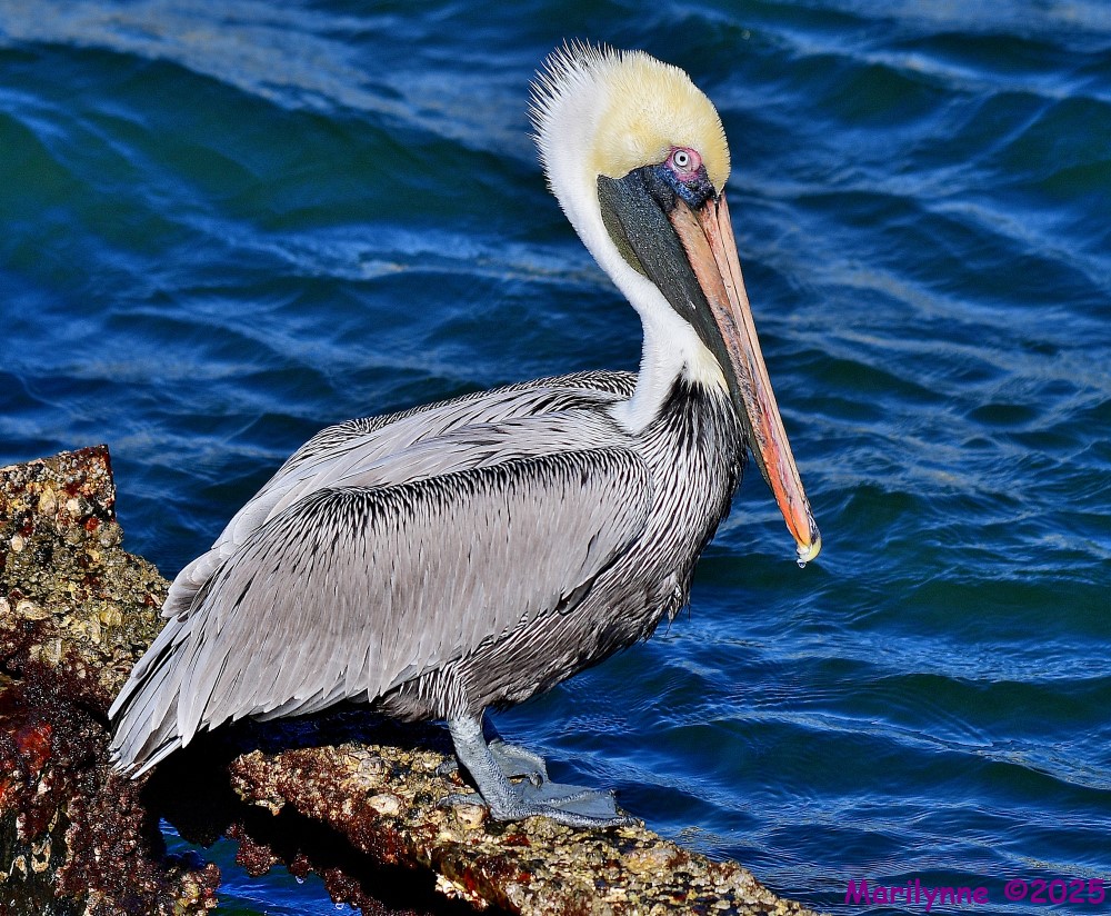 DSC_0297_001.JPG