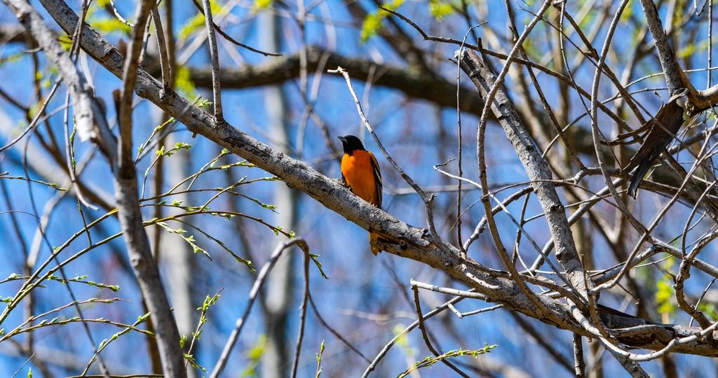 DSC_0298.jpg