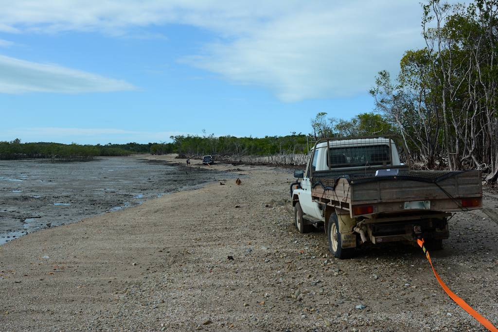 DSC_0298.jpg
