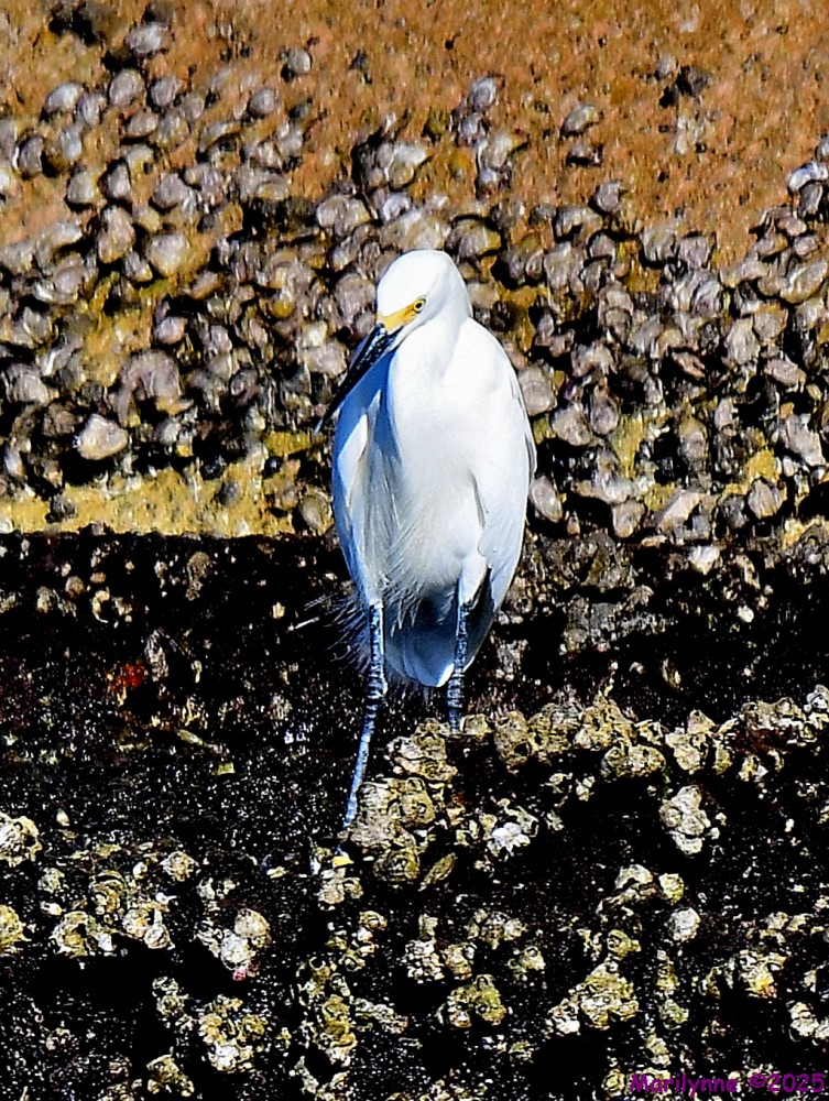 DSC_0299_001.JPG