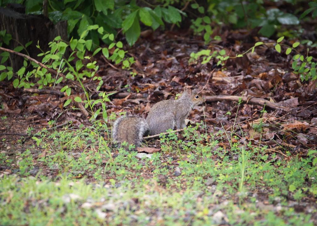 DSC_0303.jpg