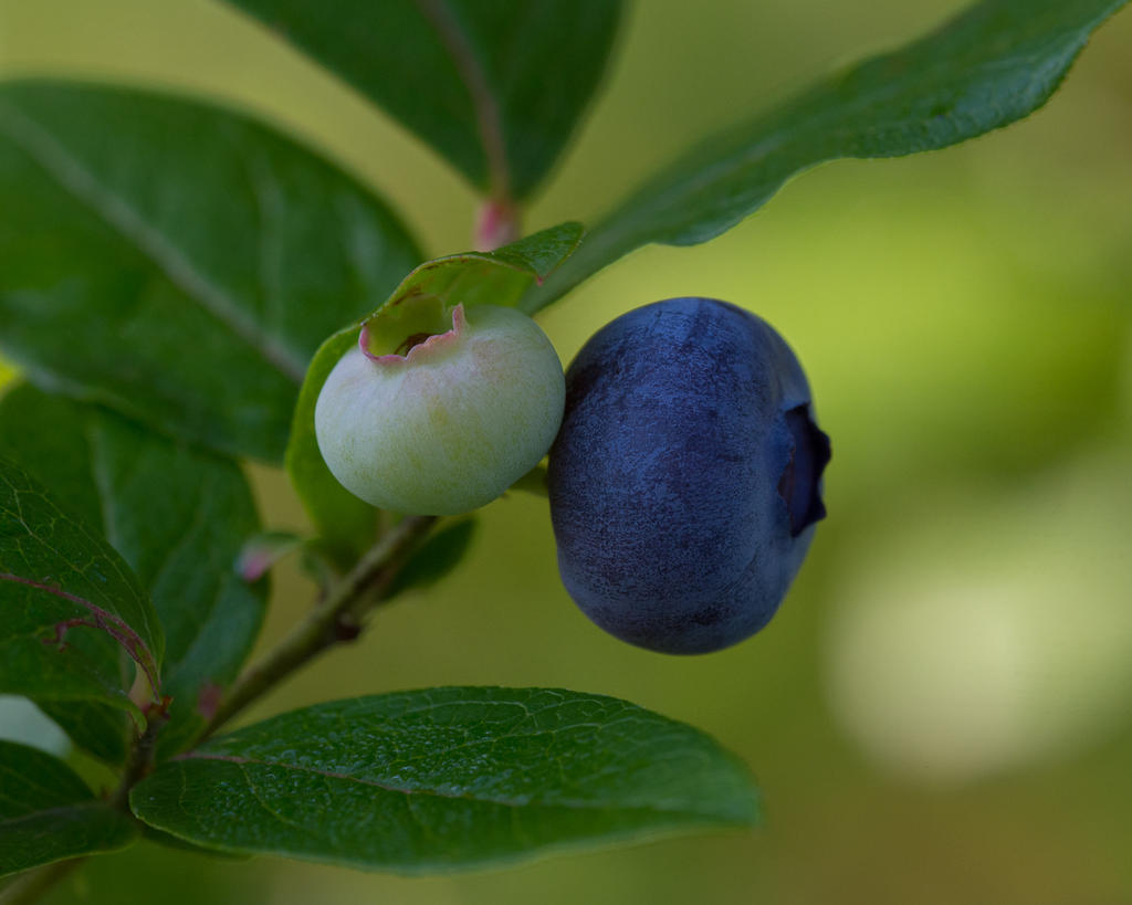 DSC_0304.jpg