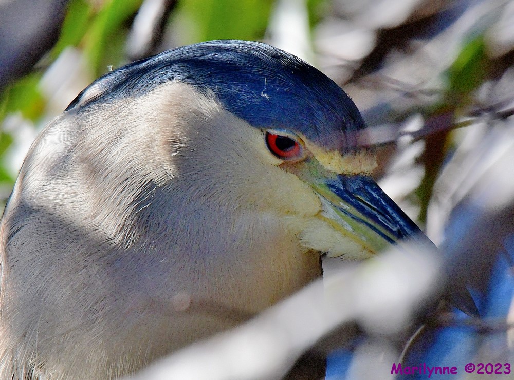 DSC_0307_001.JPG