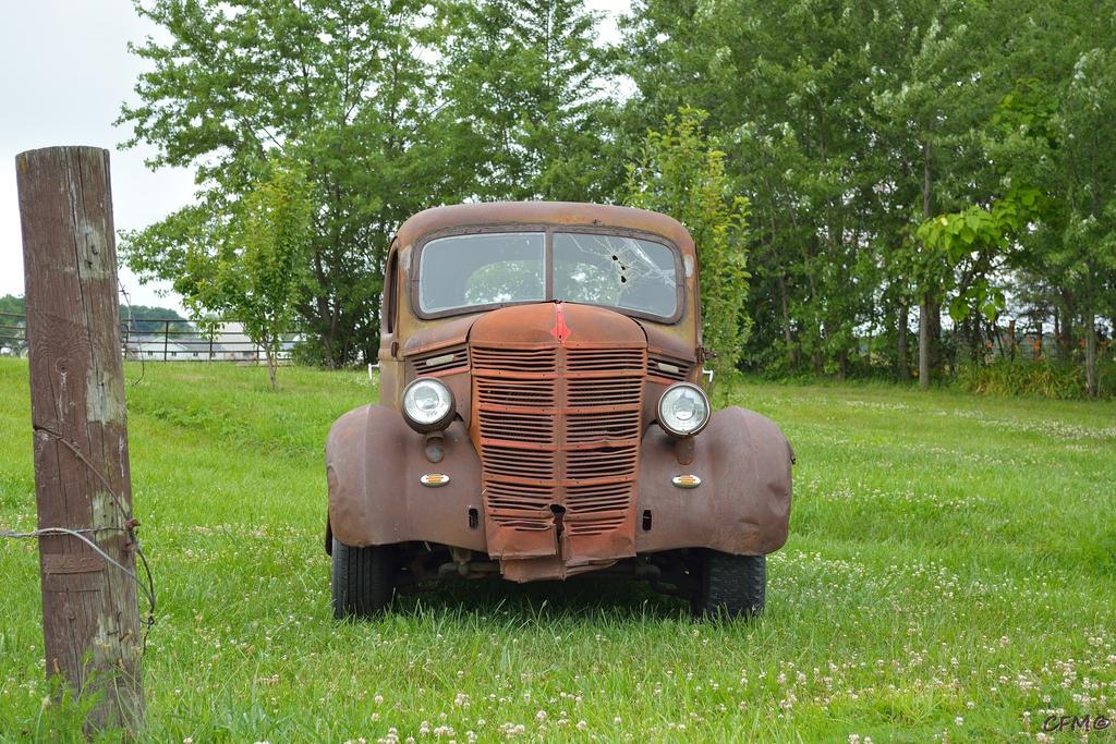 DSC_0308 nxd.jpg