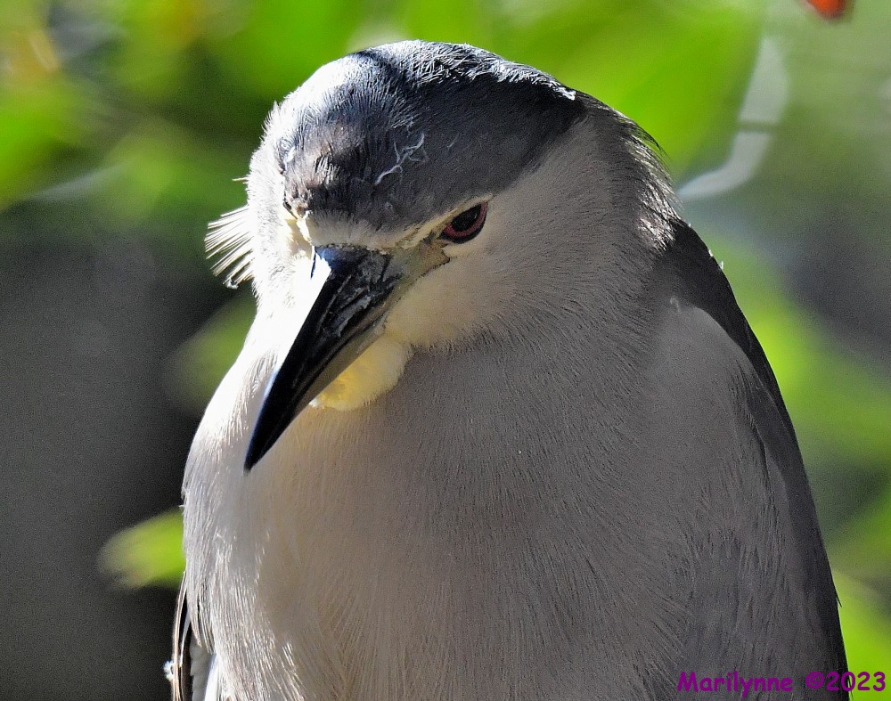 DSC_0308_001.JPG