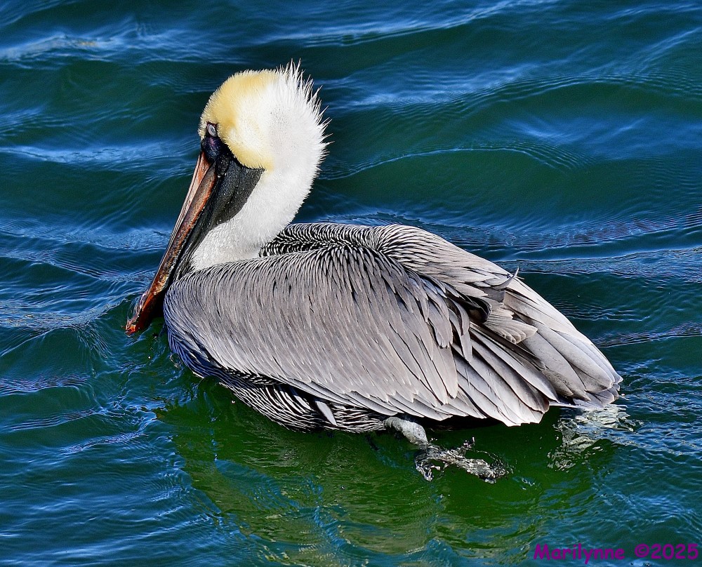 DSC_0308_001.JPG
