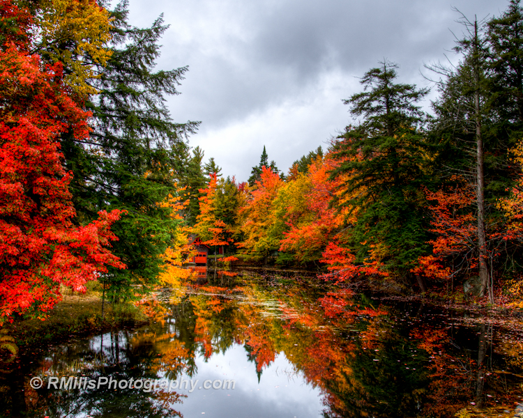 DSC_0308_3769_09_3770_10_3771_tonemapped-2.jpg