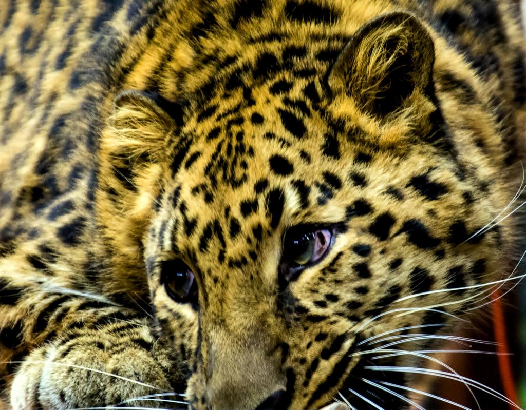 DSC_0309.jpg