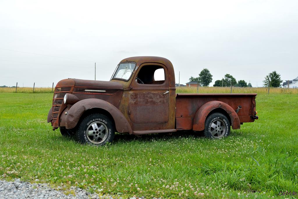 DSC_0309 nxd.jpg