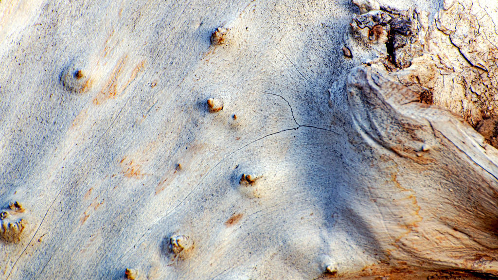 DSC_0311-Edit.jpg