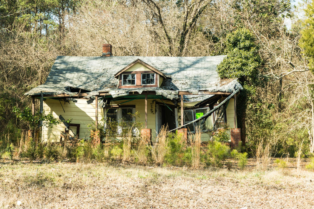 DSC_0312.jpg