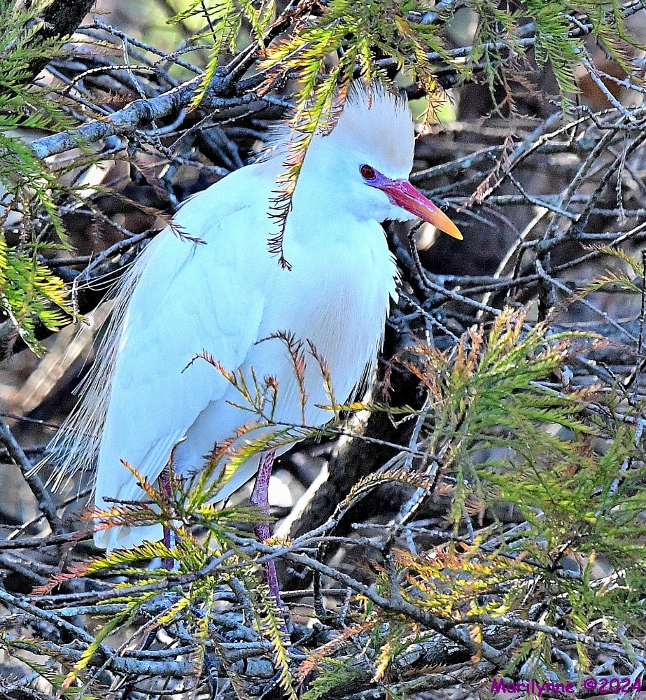 DSC_0314_001.JPG