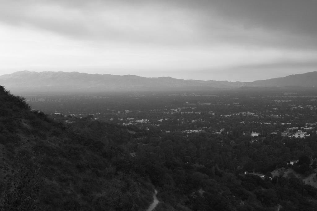 DSC_0315-B&W.jpg