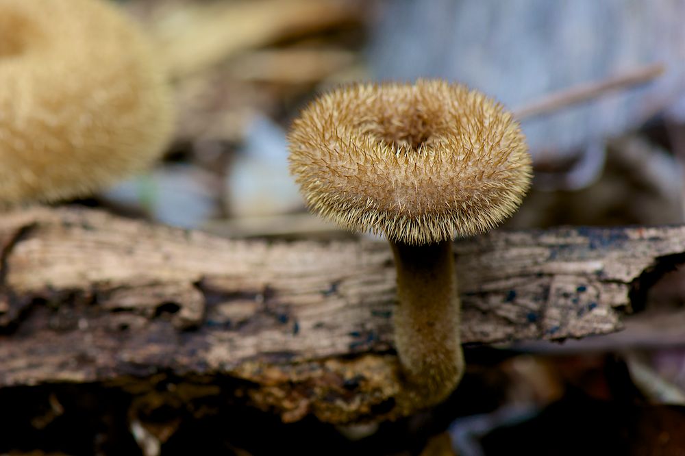 DSC_0315.jpg