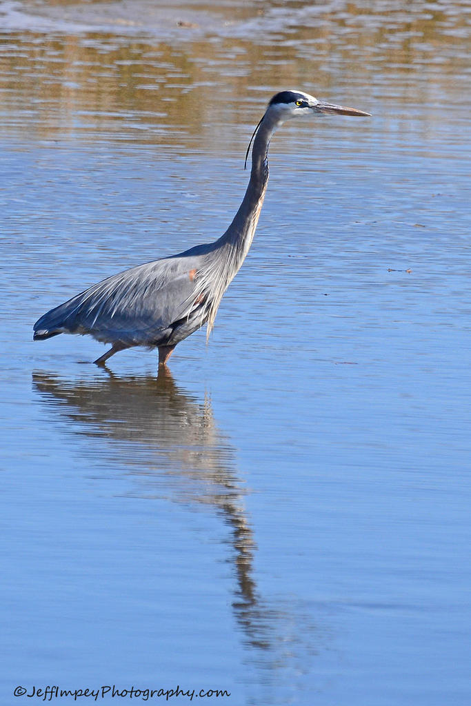 DSC_0316.jpg