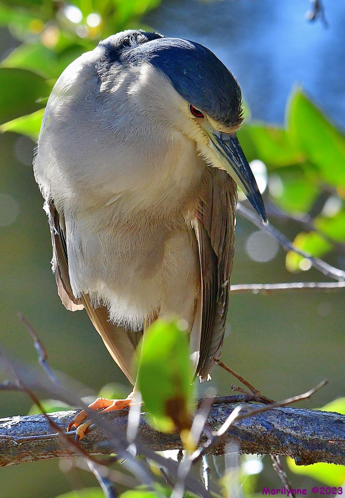 DSC_0317_001.JPG