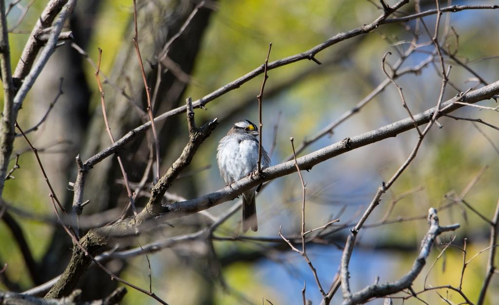 DSC_0318.jpg